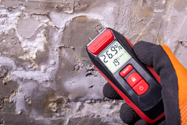 Best Black Mold Remediation in Durand, WI
